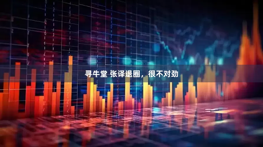 寻牛堂 张译退圈，很不对劲
