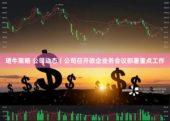 珺牛策略 公司动态｜公司召开政企业务会议部署重点工作