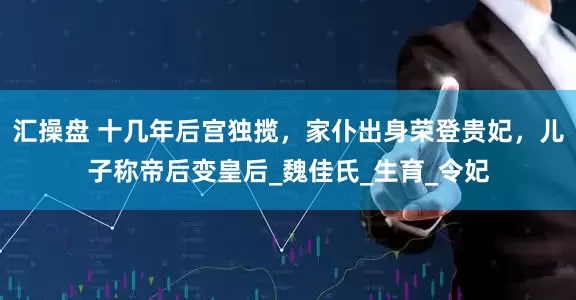汇操盘 十几年后宫独揽，家仆出身荣登贵妃，儿子称帝后变皇后_魏佳氏_生育_令妃