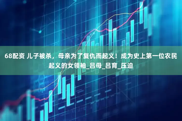 68配资 儿子被杀，母亲为了复仇而起义！成为史上第一位农民起义的女领袖_吕母_吕育_压迫