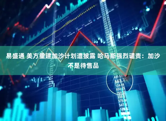 易盛通 美方重建加沙计划遭披露 哈马斯强烈谴责：加沙不是待售品
