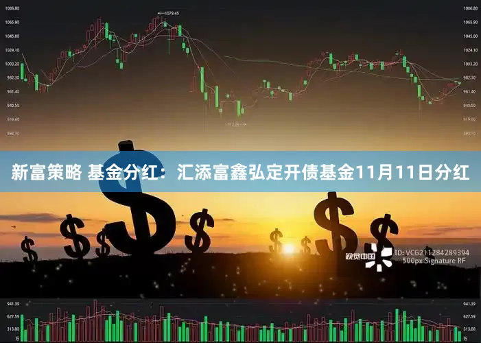 新富策略 基金分红：汇添富鑫弘定开债基金11月11日分红