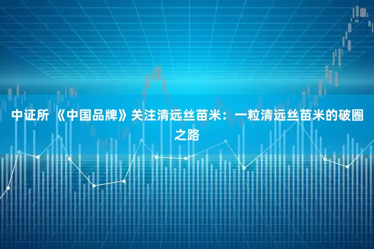 中证所 《中国品牌》关注清远丝苗米：一粒清远丝苗米的破圈之路